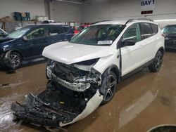 Salvage cars for sale at Elgin, IL auction: 2019 Ford Escape SEL