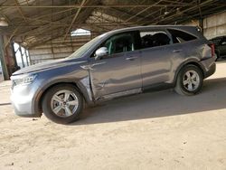 Salvage cars for sale at Phoenix, AZ auction: 2022 KIA Sorento LX