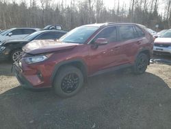 Salvage cars for sale at Cookstown, ON auction: 2020 Toyota Rav4 XLE