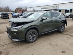 Salvage cars for sale at New Britain, CT auction: 2025 Lexus NX 350H Base