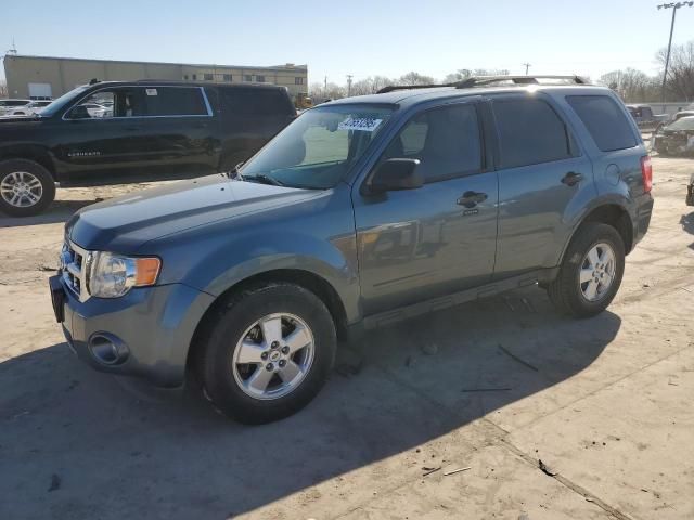 2011 Ford Escape XLT