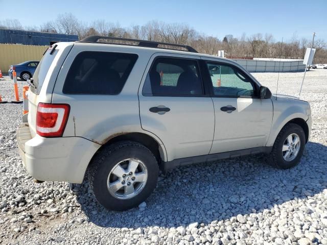 2009 Ford Escape XLT