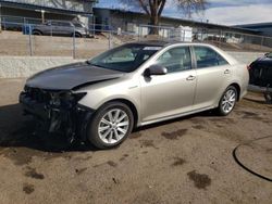 Salvage cars for sale at Albuquerque, NM auction: 2014 Toyota Camry Hybrid