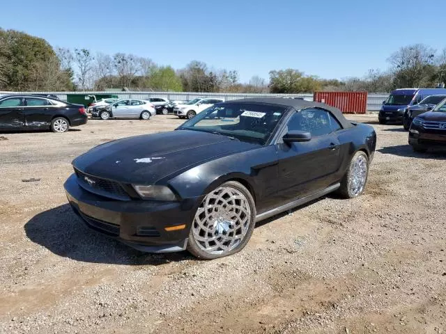 2011 Ford Mustang