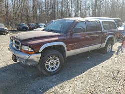 Dodge salvage cars for sale: 2002 Dodge Dakota Quad SLT