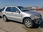 2002 Mercedes-Benz ML 500