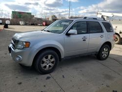 Salvage cars for sale at Columbus, OH auction: 2011 Ford Escape Limited