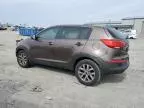 2014 KIA Sportage Base