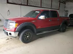 Salvage trucks for sale at Lexington, KY auction: 2011 Ford F150 Supercrew