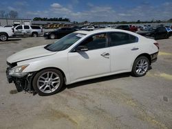 Nissan salvage cars for sale: 2009 Nissan Maxima S