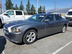 Salvage cars for sale at Rancho Cucamonga, CA auction: 2012 Dodge Charger SE