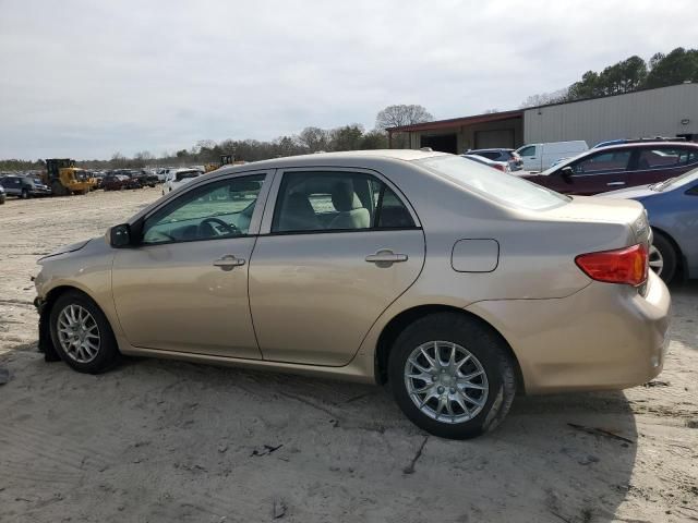 2010 Toyota Corolla Base