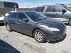 2007 Toyota Camry Hybrid