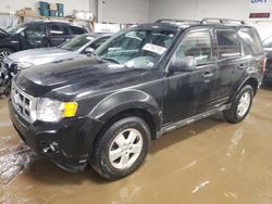 Salvage cars for sale at Elgin, IL auction: 2010 Ford Escape XLT