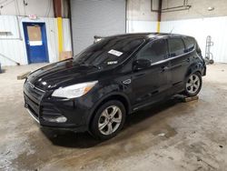 Salvage cars for sale at Glassboro, NJ auction: 2016 Ford Escape SE