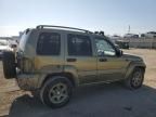 2002 Jeep Liberty Renegade