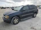 2003 Chevrolet Trailblazer