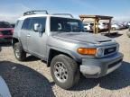 2011 Toyota FJ Cruiser