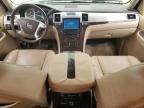 2009 Cadillac Escalade Luxury