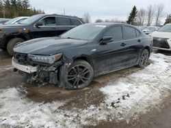 Salvage cars for sale at Bowmanville, ON auction: 2019 Acura TLX Technology