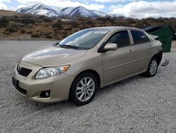 Salvage cars for sale at Reno, NV auction: 2009 Toyota Corolla Base