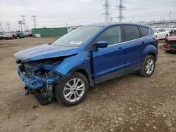 Salvage cars for sale at Elgin, IL auction: 2019 Ford Escape SE