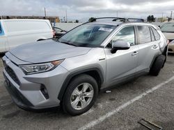 Salvage cars for sale at Van Nuys, CA auction: 2021 Toyota Rav4 XLE