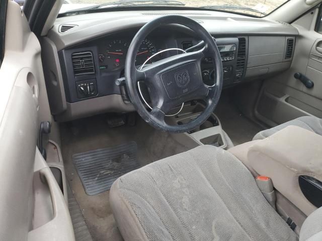 2004 Dodge Dakota SXT