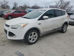 Salvage cars for sale at Wichita, KS auction: 2013 Ford Escape SE