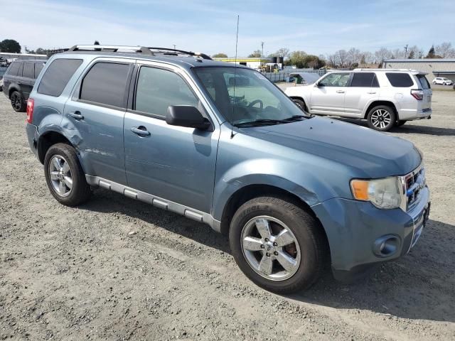 2010 Ford Escape Limited