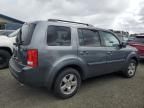 2011 Honda Pilot EXL