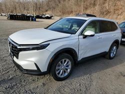 Salvage cars for sale at Marlboro, NY auction: 2025 Honda CR-V EXL