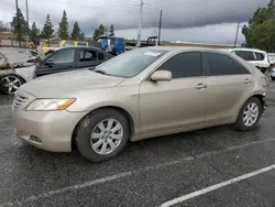 Vehiculos salvage en venta de Copart Rancho Cucamonga, CA: 2009 Toyota Camry SE