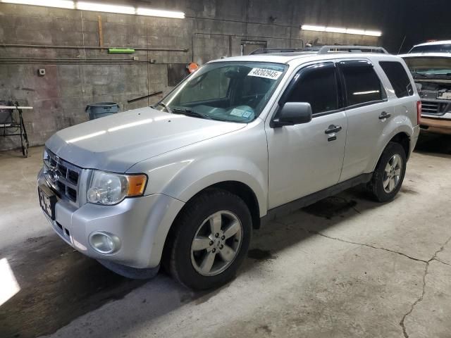 2009 Ford Escape XLT