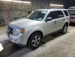 Salvage cars for sale at Angola, NY auction: 2009 Ford Escape XLT