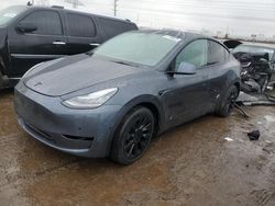 Salvage cars for sale at Elgin, IL auction: 2021 Tesla Model Y