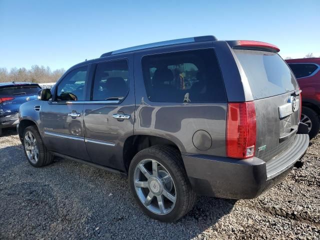 2010 Cadillac Escalade Premium