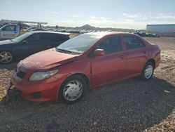 Salvage cars for sale at Phoenix, AZ auction: 2010 Toyota Corolla Base