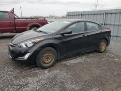 Salvage cars for sale at Ottawa, ON auction: 2016 Hyundai Elantra SE