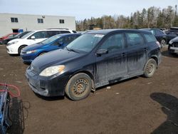 Salvage cars for sale at Cookstown, ON auction: 2008 Toyota Corolla Matrix XR