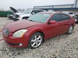 Clean Title Cars for sale at auction: 2004 Nissan Maxima SE