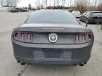 2013 Ford Mustang