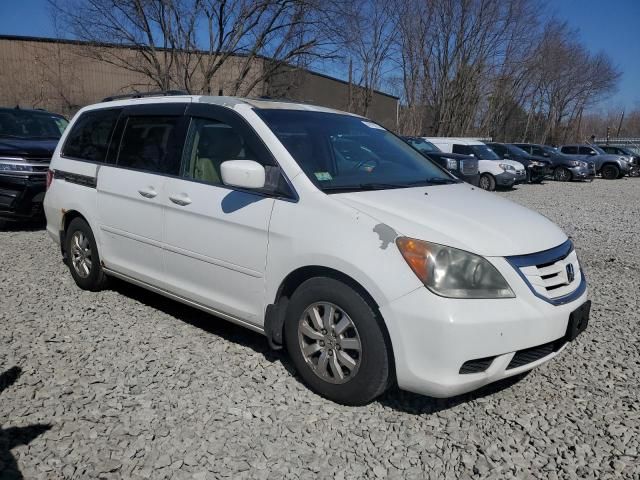 2008 Honda Odyssey EXL