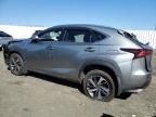 2019 Lexus NX 300 Base