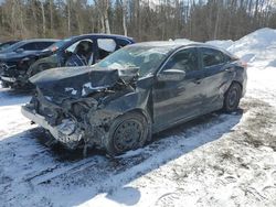 Salvage cars for sale at Cookstown, ON auction: 2021 Honda Civic LX