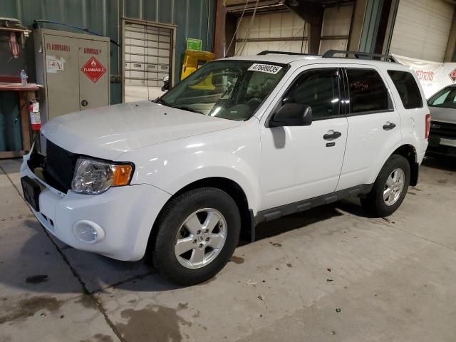 2011 Ford Escape XLT