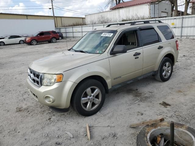 2010 Ford Escape XLT