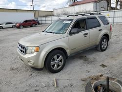 Salvage cars for sale at Lexington, KY auction: 2010 Ford Escape XLT