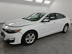 Salvage cars for sale at Van Nuys, CA auction: 2023 Chevrolet Malibu LT