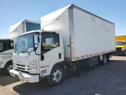 Isuzu Vehiculos salvage en venta: 2017 Isuzu NRR